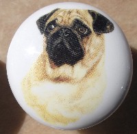 Cabinet Knob Fawn Pug