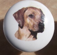 ceramic cabinet knob rhodesian ridgeback