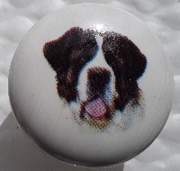 ceramic cabinet knob St Bernard