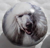 ceramic cabinet knob white poodle