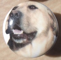 ceramic cabinet knob yellow labrador retiever