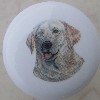 ceramic cabinet knob yellow labrador retriever