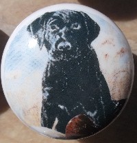 ceramic cabinet knob black labrador retiever