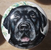 ceramic cabinet knob black labrador retiever