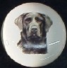 ceramic cabinet knob black labrador retiever