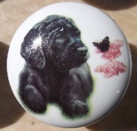 ceramic cabinet knob black labrador retiever