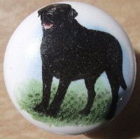 ceramic cabinet knob black labrador retiever