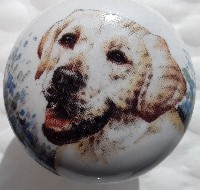 ceramic cabinet knob yellow labrador retriever