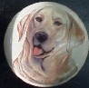 ceramic cabinet knob yellow labrador retiever