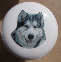 ceramic cabinet knob malamute