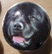 ceramic cabinet knob newfoundland newfie