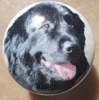 ceramic cabinet knob newfoundland newfie