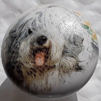 ceramic cabinet knob old english sheep dog OES