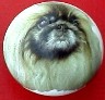 ceramic cabinet knob pekingese terrier pekeingese