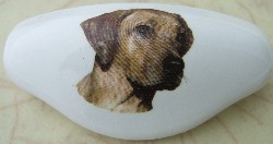 Drawer Pull Ridgeback