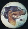 ceramic cabinet knob rottweiler rottwieler