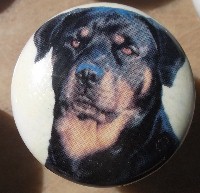 www.mariansceramics.com Rottweiler ridgeback cabinet knobs