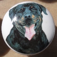 ceramic cabinet knob rottweiler rottwieler