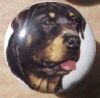 ceramic cabinet knob rottweiler rottwieler