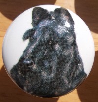 ceramic cabinet knob scottish terrier scotty