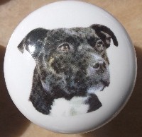 ceramic cabinet knob american staffordshire terrier pitbull