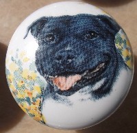ceramic cabinet knob american staffordshire terrier pitbull
