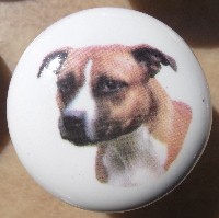 ceramic cabinet knob american staffordshire terrier pitbull