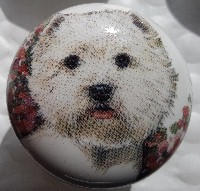 cabinet knob West Highland terrier