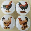 CERAMIC CABINET KNOB  rooster HEN chicken