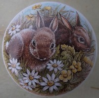 Cabinet Knob Bunnies Flowers 