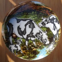 CERAMIC CABINET KNOB  HOLSTEIN COW HOLSTIEN