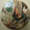 Cabinet Knob Farm Chickens #3