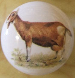 CERAMIC CABINET KNOB  GOAT