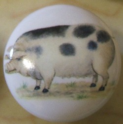 CERAMIC CABINET KNOB  PIG PIGS SWINE