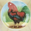 CERAMIC CABINET KNOB  rooster HEN chicken