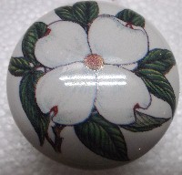 Cabinet Knob Dogwood