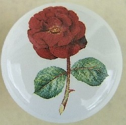 Cabinet Knob Drk Red Rose flower