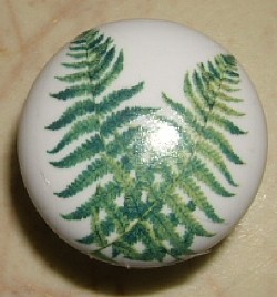 Cabinet Knob Ferns