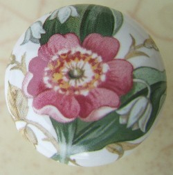 Cabinet Knob May Flower pulls 