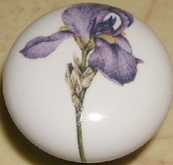 Cabinet Knob Purple Iris pulls flower