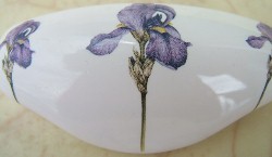 Drawer Pull Purple Iris flower