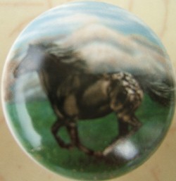 Cabinet knobs horse horses images