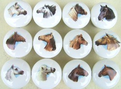 Cabinet knobs 12 Horse Heads