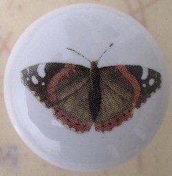 Cabinet Knob Butterflys butterflies