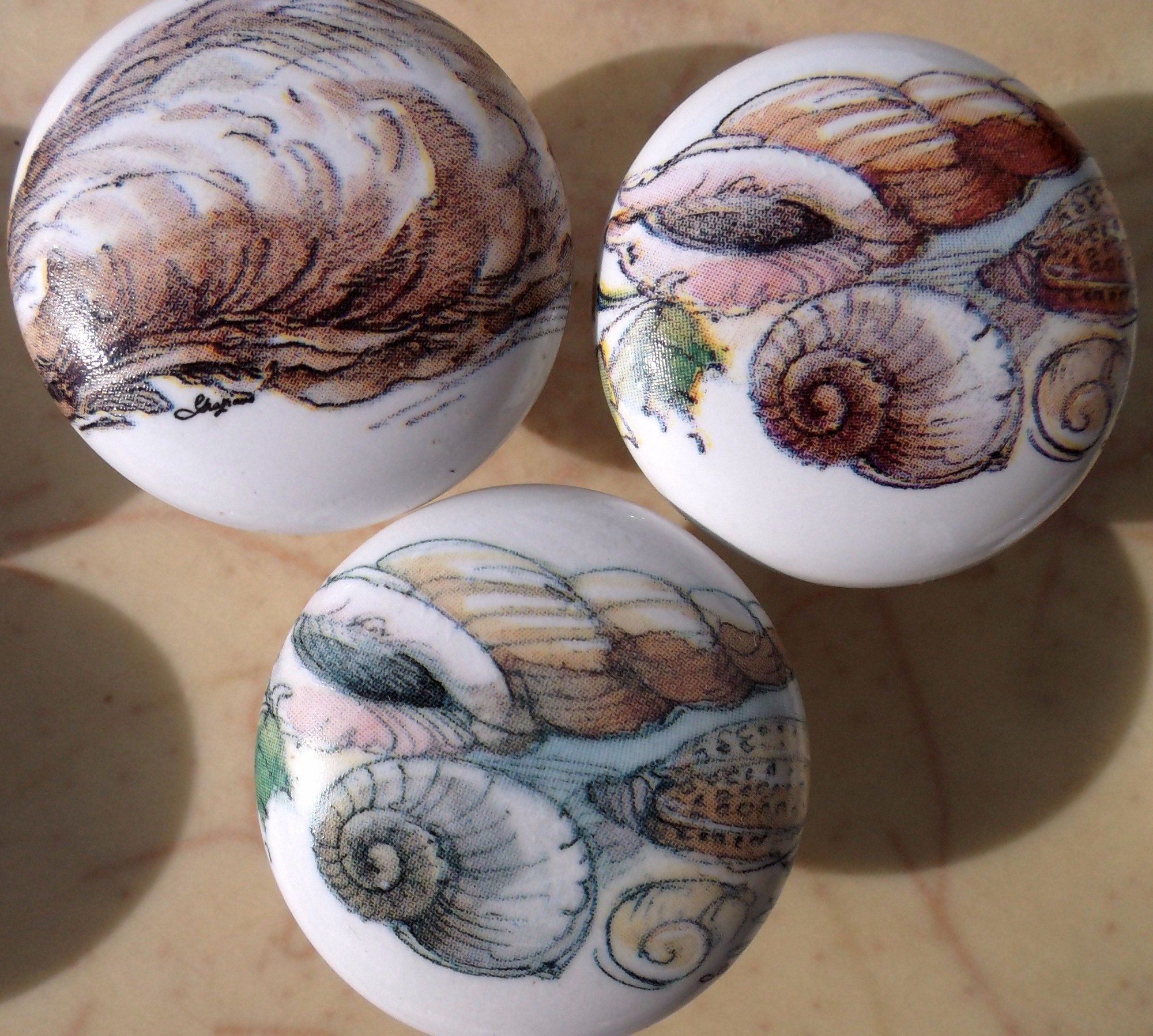 CERAMIC CABINET KNOBS  SEA SHELLS SEASHELLS SHELL available at mariansceramics.com