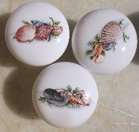 CERAMIC CABINET KNOBS  SEA SHELLS SEASHELLS SHELL available at mariansceramics.com