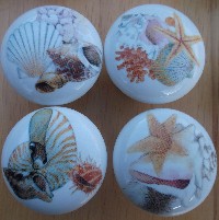 Cabinet knobs seashell images