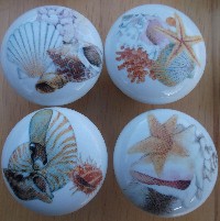 CERAMIC CABINET KNOBS  SEA SHELLS SEASHELLS SHELL available at mariansceramics.com