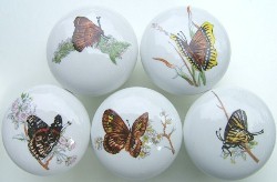 Cabinet Knob Butterflys butterflies