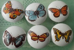 Cabinet Knob Butterflys butterflies